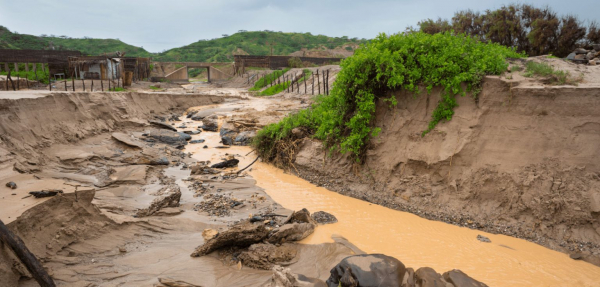 Vì sao El Nino quay trở lại ? -0