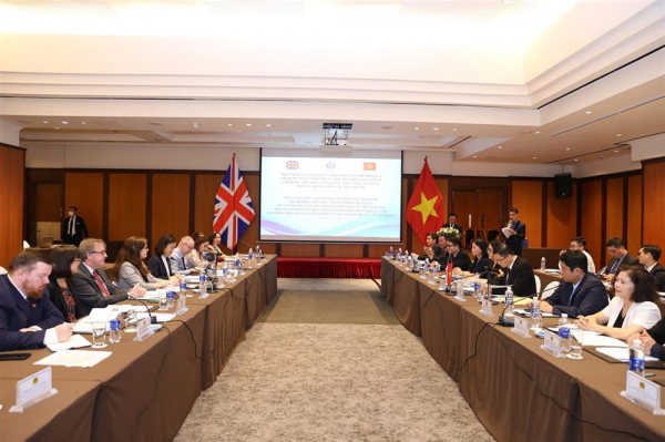 Vietnam-UK discuss measures to prevent human trafficking from afar -0