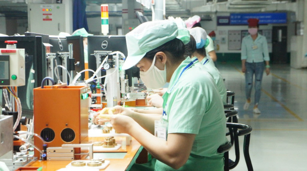 Hơn 540 doanh nghiệp tại Đà Nẵng bị thu hồi giấy chứng nhận đăng ký -0