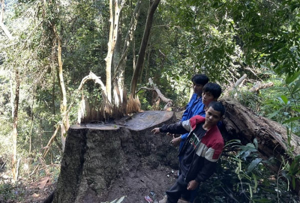 Công an vây bắt nhóm lâm tặc trong đêm -0