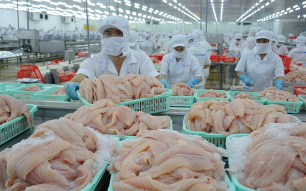 Pangasius exports to Germany witness double-digit growth -0