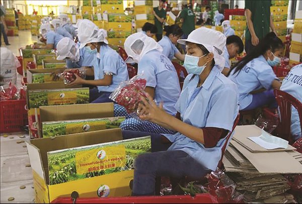 Đề nghị Australia sớm mở cửa thị trường cho nông sản Việt Nam -0