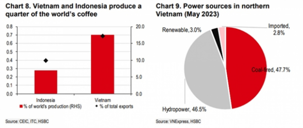 Vietnam’s rice and coffee acutely vulnerable from El Nino: HSBC economists -0