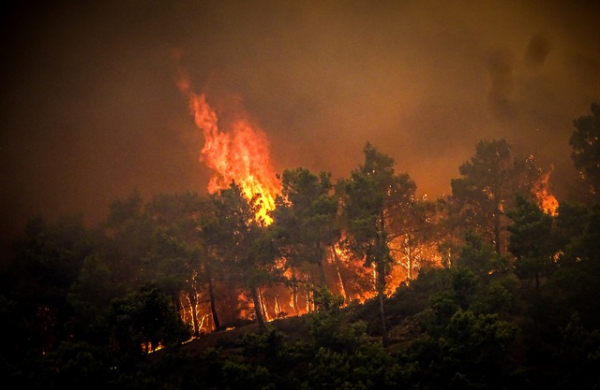 Du khách và người dân bỏ chạy trong đêm vì cháy rừng tại Hy Lạp -0