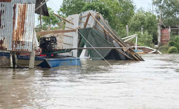 Cà Mau kịp thời khắc phục diện tích rừng bị thiệt hại do mưa bão gây ra -0