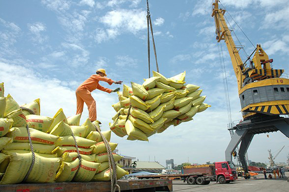 Vietnam exports over 4.48 million tons of rice in seven months -0