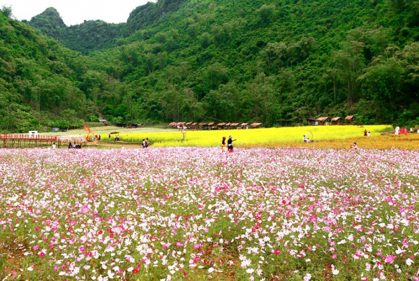 Autumn Festival set to enliven Bac Ha mountains -0