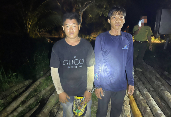 Xử lý nhóm đối tượng khai thác trái phép gỗ nằm trong sách đỏ -0