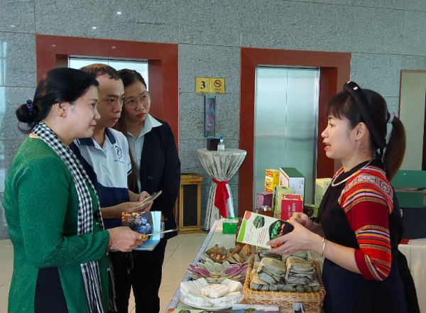 Tuyên Qang tổ chức truyền thông “Lễ hội Thành Tuyên năm 2023” tại TP Cần Thơ -1