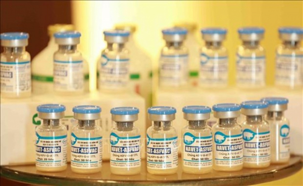Made-in-Vietnam ASF vaccines to be exported to Philippines, Indonesia -0