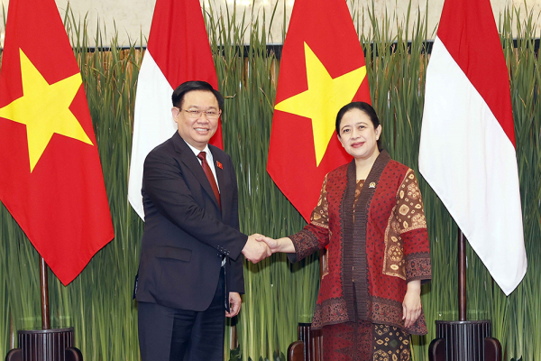 Việt Nam là đối tác quan trọng trong chiến lược của Indonesia ở khu vực -0