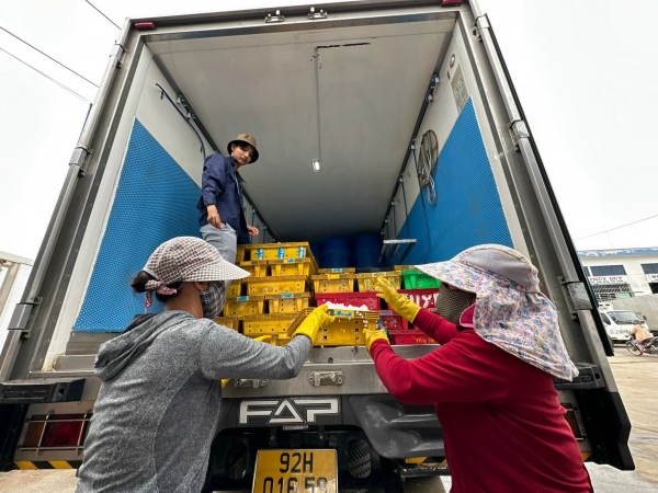 Quảng Nam đẩy mạnh hoạt động bám biển vươn khơi -0
