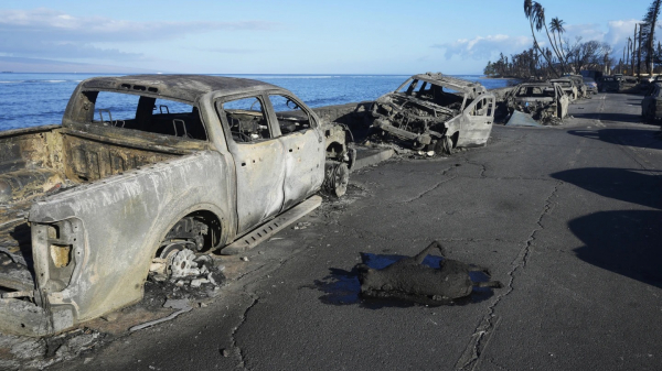Cháy rừng ở Hawaii: Gần 70 người chết, thiệt hại nhiều tỷ USD -0