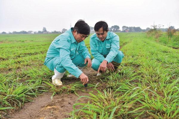 Để có các mô hình “Trang trại sinh thái”, “Trung hòa carbon”, Vinamilk đã làm gì?_SODACBIET19-8_T37 -0