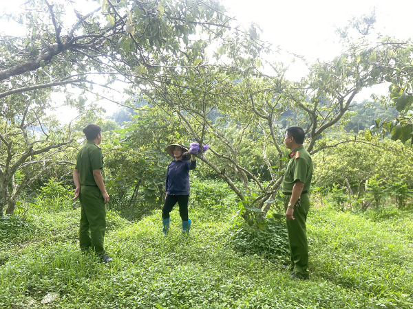 Lào Cai: Một số xưởng sơ chế giun đất xả thải gây ô nhiễm môi trường -0