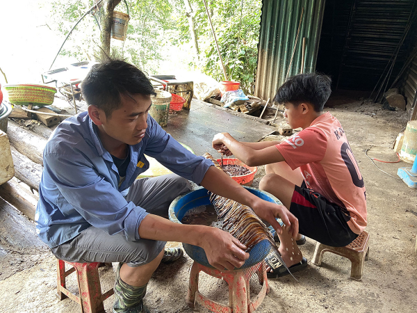 Lào Cai: Một số xưởng sơ chế giun đất xả thải gây ô nhiễm môi trường -0