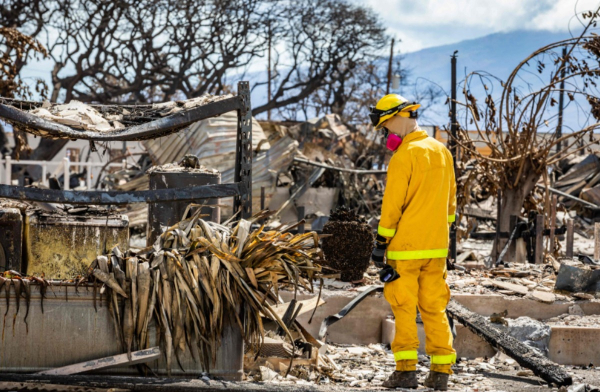 Quan chức Hawaii có động thái gây sốc hậu thảm họa cháy rừng -0