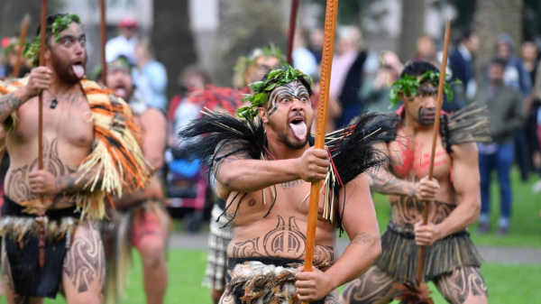 Đi tìm “căn tính Maori” của người New Zealand -0