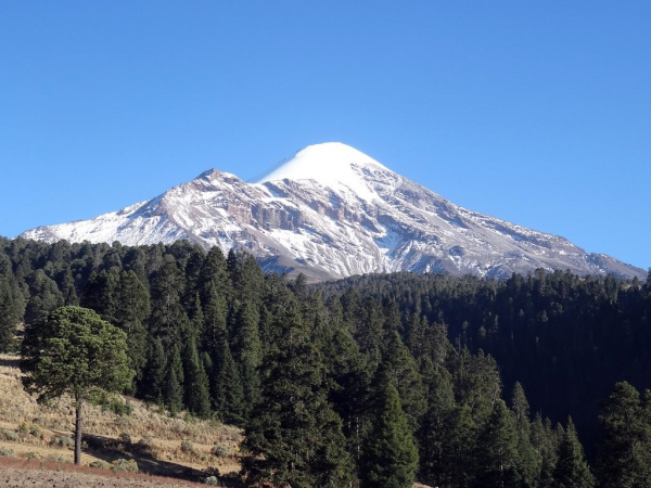 Chinh phục đỉnh núi cao nhất Mexico, 4 nhà leo núi thiệt mạng  -0