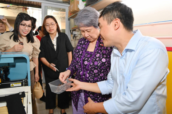 Vietnam, Singapore PMs' spouses visit Van Phuc Silk Village -2