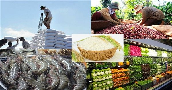 Vietnamese exports gradually show positive signs in remaining months -0