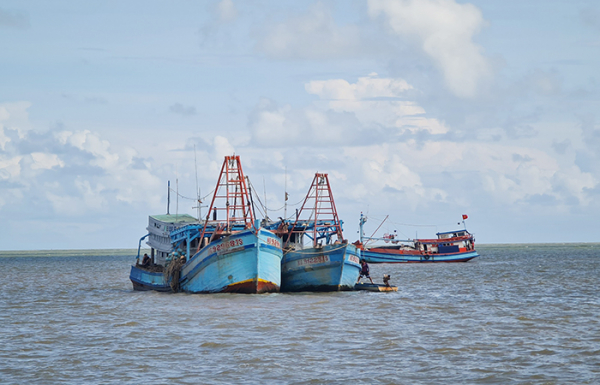 Cà Mau triển khai đồng bộ các giải pháp chống khai thác IUU -1