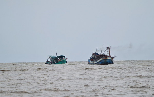 Cà Mau triển khai đồng bộ các giải pháp chống khai thác IUU -0