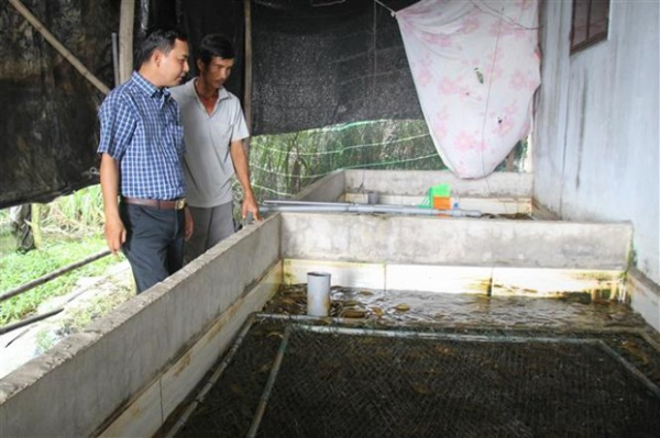 Dành nguồn lực đầu tư, phát triển kinh tế vùng đồng bào dân tộc Khmer -0
