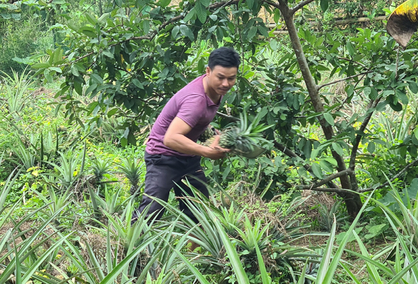 Chênh vênh làng thanh niên lập nghiệp ở A Lưới -1