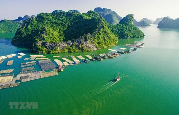Ha Long Bay-Cat Ba Archipelago recognised as world natural heritage -0