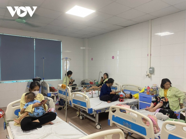 Dengue fever cases see sharp rise in Hanoi -0