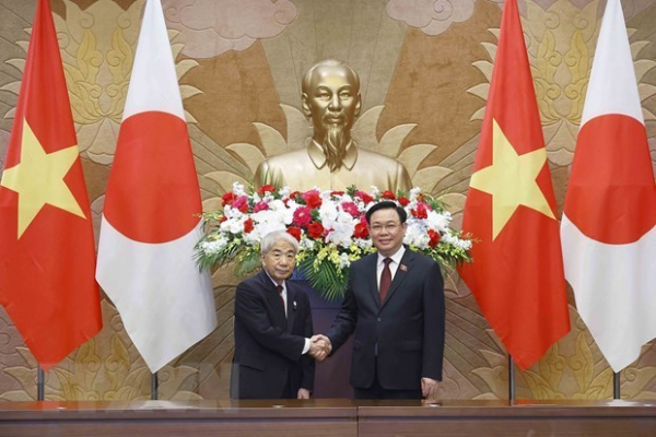 Vietnam - Japan ties live up to extensive strategic partnership: ambassador -0