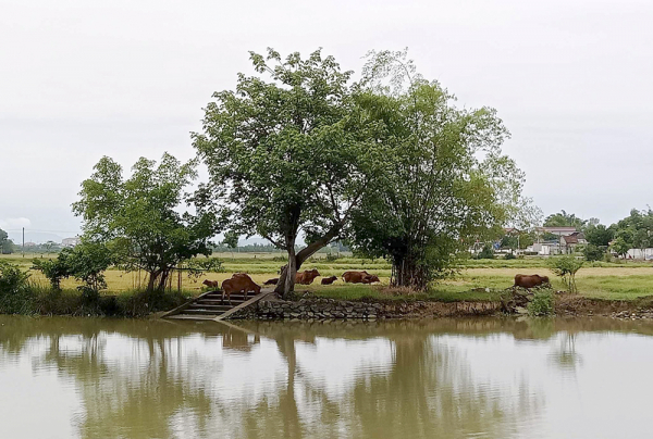 bến đò dè.jpg -0
