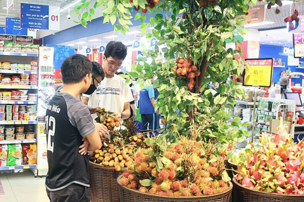 kenh-phan-phoi-viet-ho-tro-tieu-thu-nong-san-mien-nui-vung-dong-bao-dan-toc-20230924101822.jpg -0