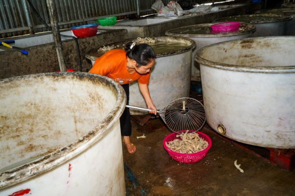 Chủ tịch TP Hải Phòng phát hiện doanh ngiệp có dấu hiệu chế biến chân gà vi phạm an toàn thực phẩm -0