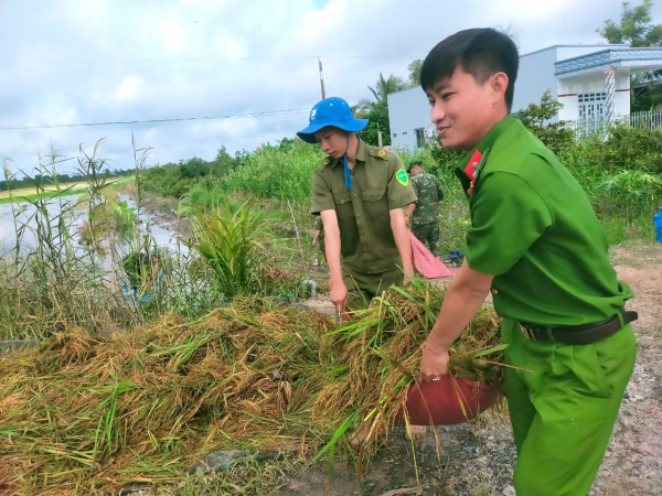 Giúp dân gặt lúa chạy lũ -0