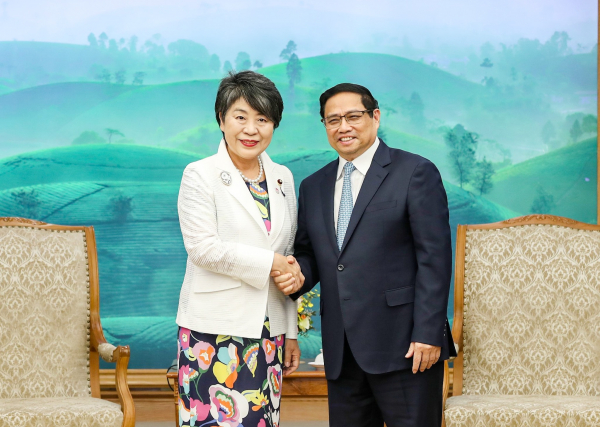 Việt Nam đóng vai trò rất quan trọng trong chính sách đối ngoại của Nhật Bản tại khu vực -0