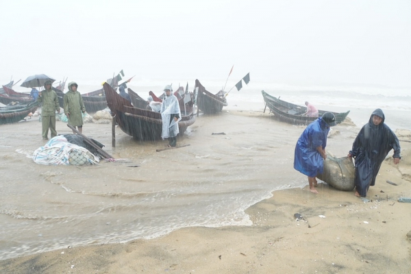 Bờ biển sạt lở nghiêm trọng, khẩn trương cứu đê -0