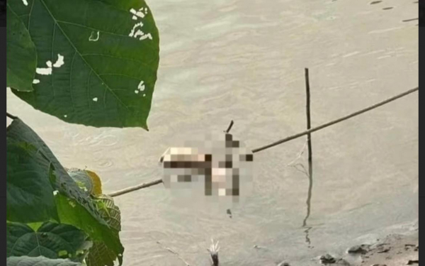 Nạn nhân bị sát hại, phân xác ném trên sông Hồng được xác định là Hồ Yến Nhi -0