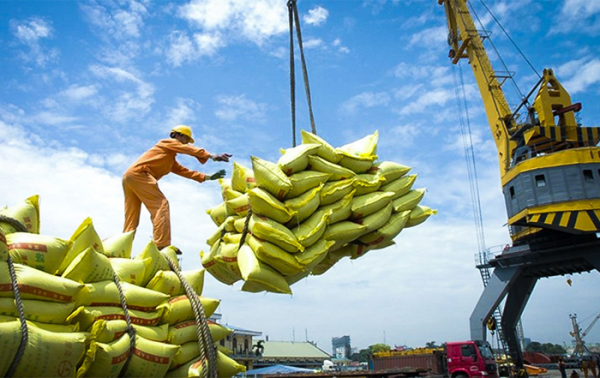 Xuất khẩu gạo 9 tháng thu về gần 3,54 tỷ USD  -0