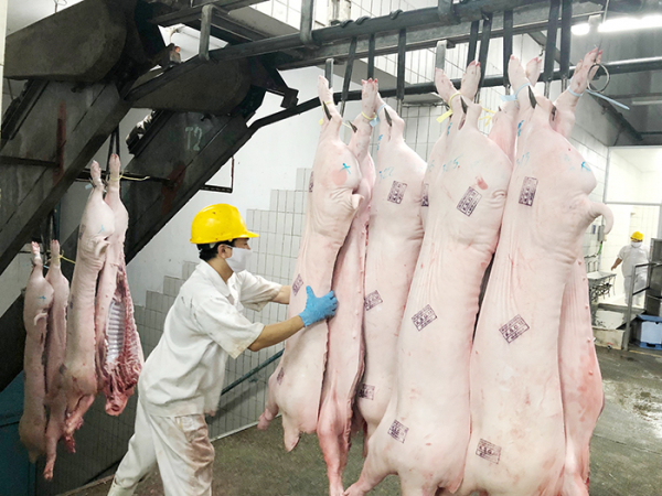 Kiểm soát chặt việc nhập khẩu sản phẩm chăn nuôi -0