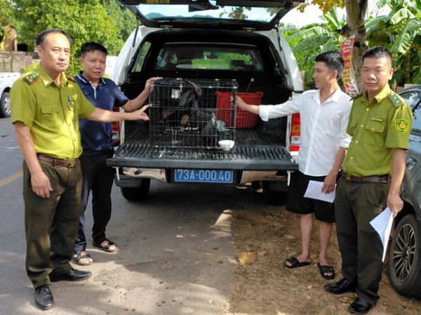  Quảng Bình nghiêm cấm cán bộ và người dân săn bắt, mua bán chim hoang dã -0