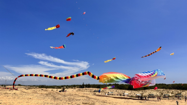 Binh Thuan to set Guinness record for Vietnam's largest kite -0
