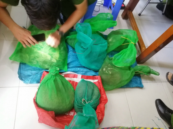 Đang chở 11 cá thể động vật nguy cấp, quý hiếm đi bán thì bị bắt -0