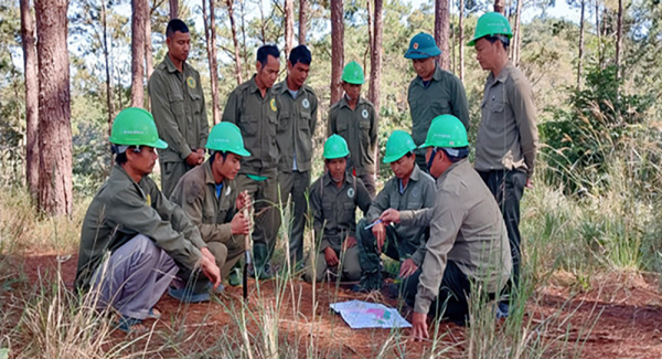 Kết quả nổi bật trong triển khai chi trả dịch vụ môi trường rừng ở Lâm Đồng -0