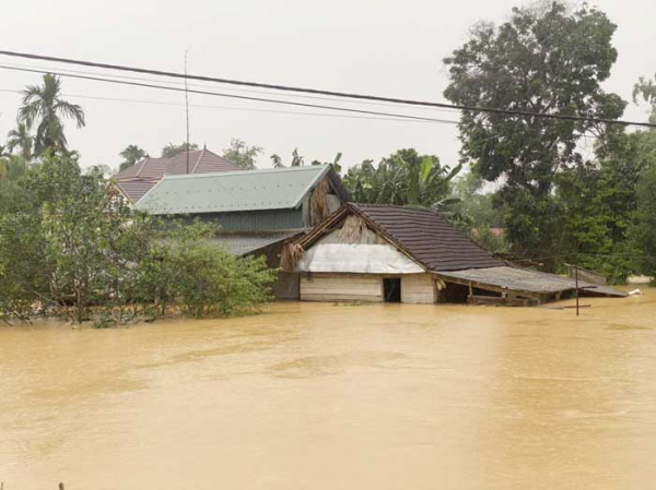 Nỗ lực ứng cứu dân trong mưa lũ -1