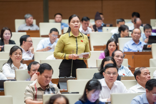 Có hệ thống cán bộ địa phương bảo vệ khai thác khoáng sản trái phép -0