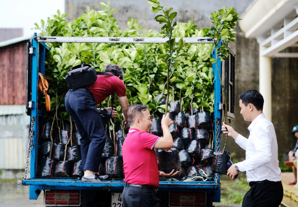 Đoàn Thanh niên Agribank Tây Nam Bộ tặng cây giống cho người dân huyện Đông Giang (Quảng Nam) -1