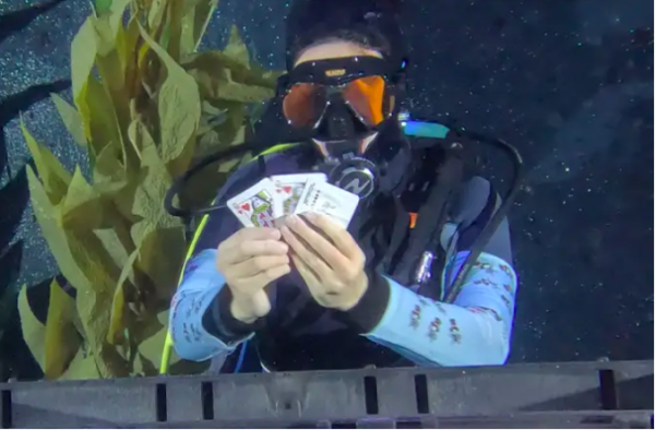 mo_^t pha^`n tri`nh die^~n a_o thua_^t du_o__i nu_o__c cu_a fisher. a_nh the guinness record..png -0