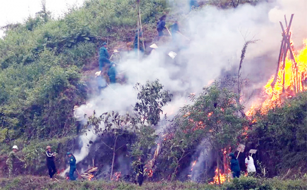 Lào Cai chủ động các phương án phòng, chống cháy rừng và tìm kiếm cứu nạn -0